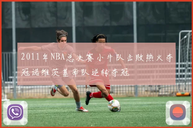 2011年NBA总决赛小牛队击败热火夺冠诺维茨基率队逆转夺冠