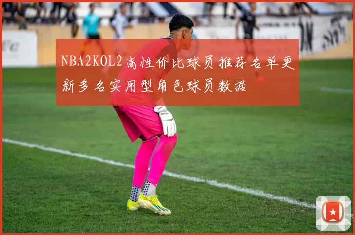 NBA2KOL2高性价比球员推荐名单更新多名实用型角色球员数据