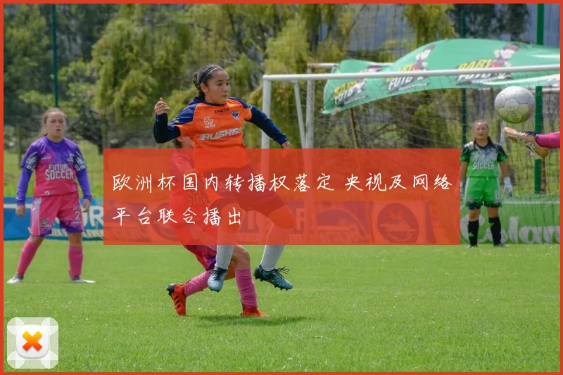 欧洲杯国内转播权落定 央视及网络平台联合播出