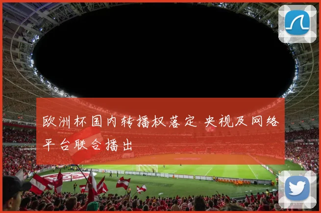 欧洲杯国内转播权落定 央视及网络平台联合播出